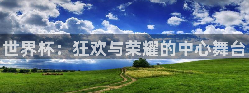 世界杯决赛圈球队：世界杯：狂欢与荣耀的中心舞台
