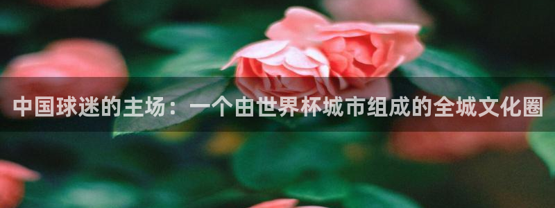 世界直播：中国球迷的主场：一个由世界杯城市组成的全城文化圈