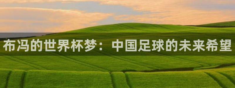 世界杯比赛：布冯的世界杯梦：中国足球的未来希望