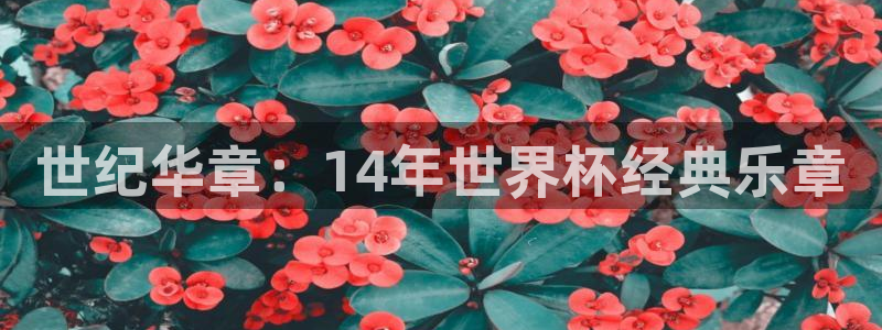 世界杯球队排名：世纪华章：14年世界杯经典乐章