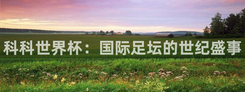 2026世界杯官网入口：科科世界杯：国际足坛的世纪盛事
