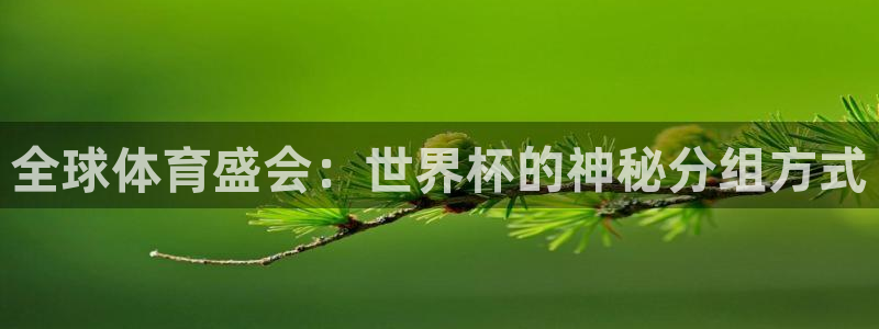 世界杯预选赛亚洲：全球体育盛会：世界杯的神秘分组方式