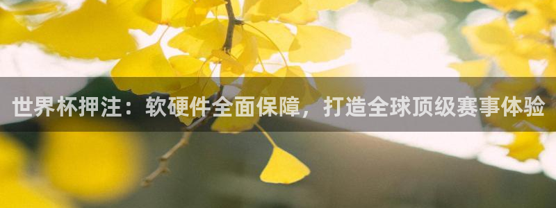 世界杯比赛时间：世界杯押注：软硬件全面保障，打造全球顶级赛事体验