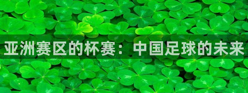 世界杯欧洲区预选赛：亚洲赛区的杯赛：中国足球的未来