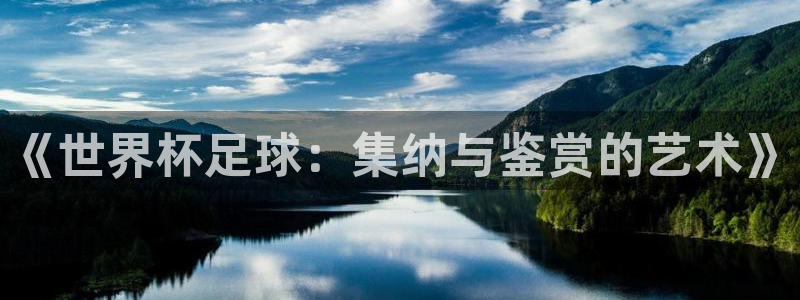 世界杯比赛赛程：《世界杯足球：集纳与鉴赏的艺术》
