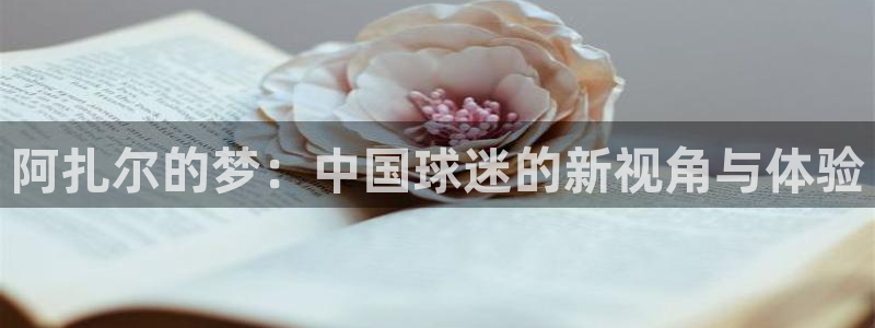 世界杯官网入口：阿扎尔的梦：中国球迷的新视角与体验