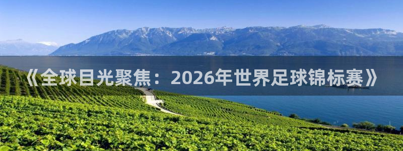 世界杯预选赛直播：《全球目光聚焦：2026年世界足球锦标赛》