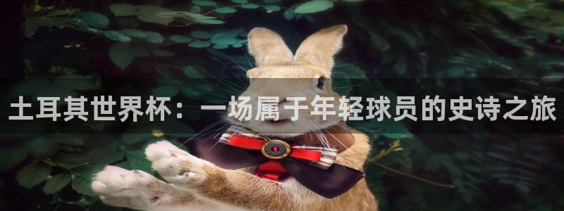 世界杯足球：土耳其世界杯：一场属于年轻球员的史诗之旅