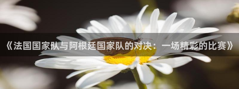 亚洲杯比赛直播：《法国国家队与阿根廷国家队的对决：一场精彩的比赛》
