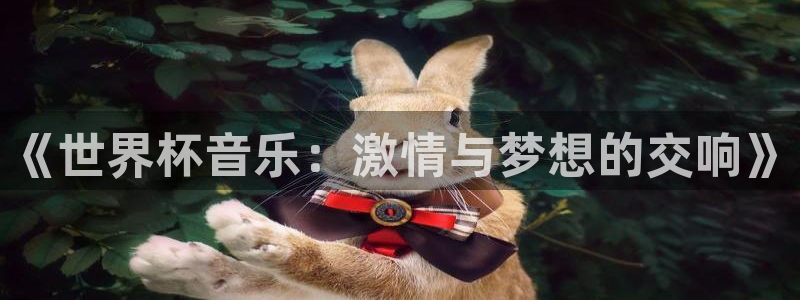 世界杯时间：《世界杯音乐：激情与梦想的交响》