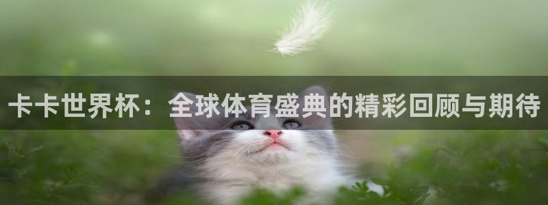 2026世界杯买球：卡卡世界杯：全球体育盛典的精彩回顾与期待